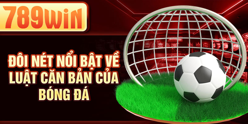 Đôi nét nổi bật về luật căn bản của bóng đá Đôi nét nổi bật về luật căn bản của bóng đá