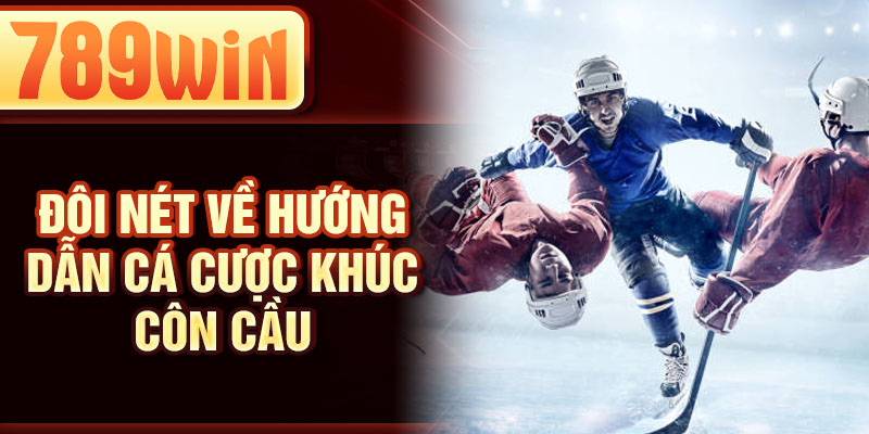 Đôi nét về hướng dẫn cá cược khúc côn cầu Đôi nét về hướng dẫn cá cược khúc côn cầu