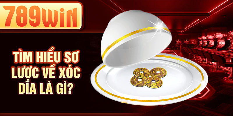 Tìm hiểu sơ lược về xóc dĩa là gì? Tìm hiểu sơ lược về xóc dĩa là gì?