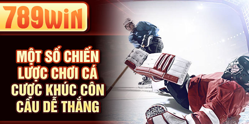 Một số chiến lược chơi cá cược khúc côn cầu dễ thắng Một số chiến lược chơi cá cược khúc côn cầu dễ thắng